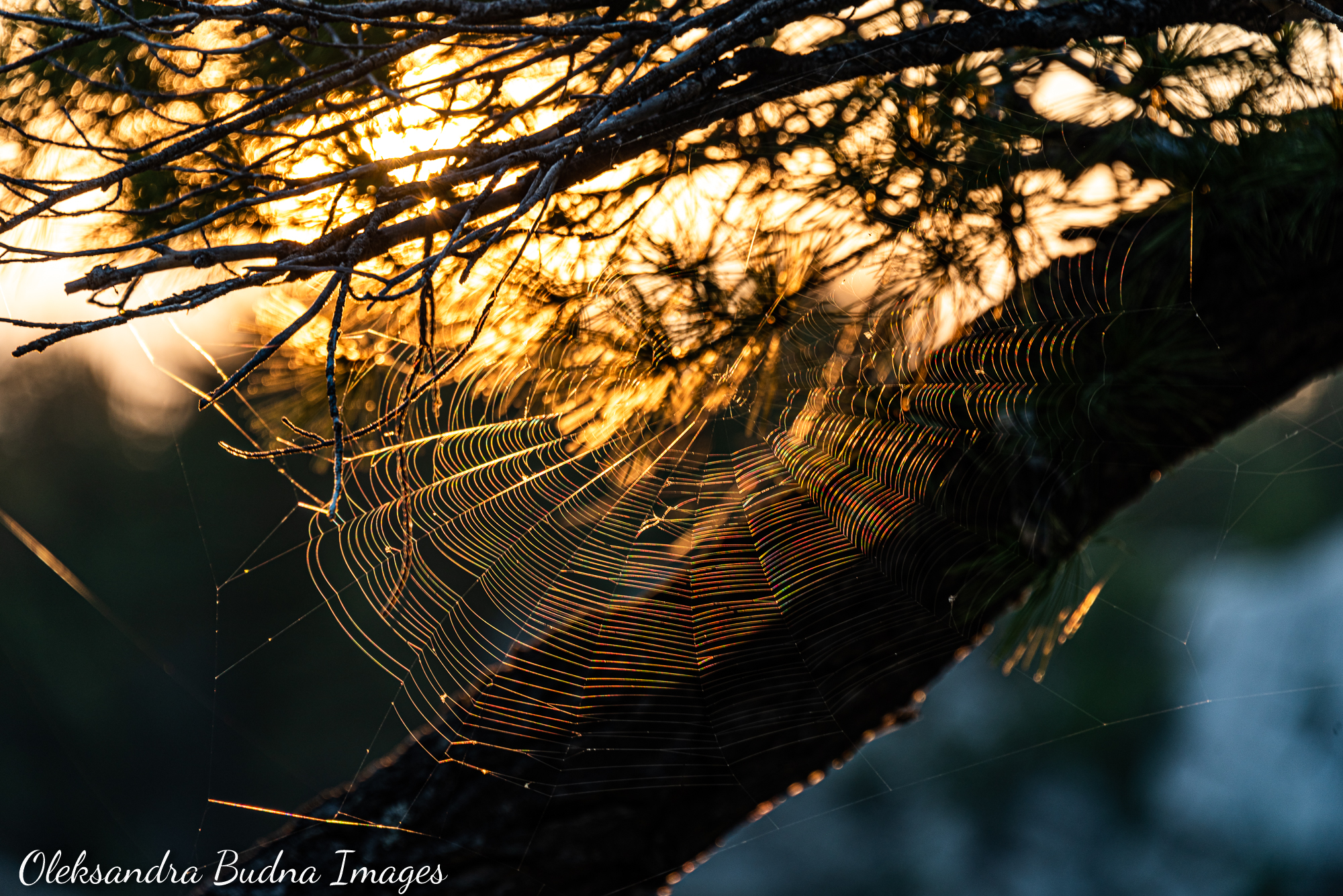 La Cloche Silhouette Trail in Killarney