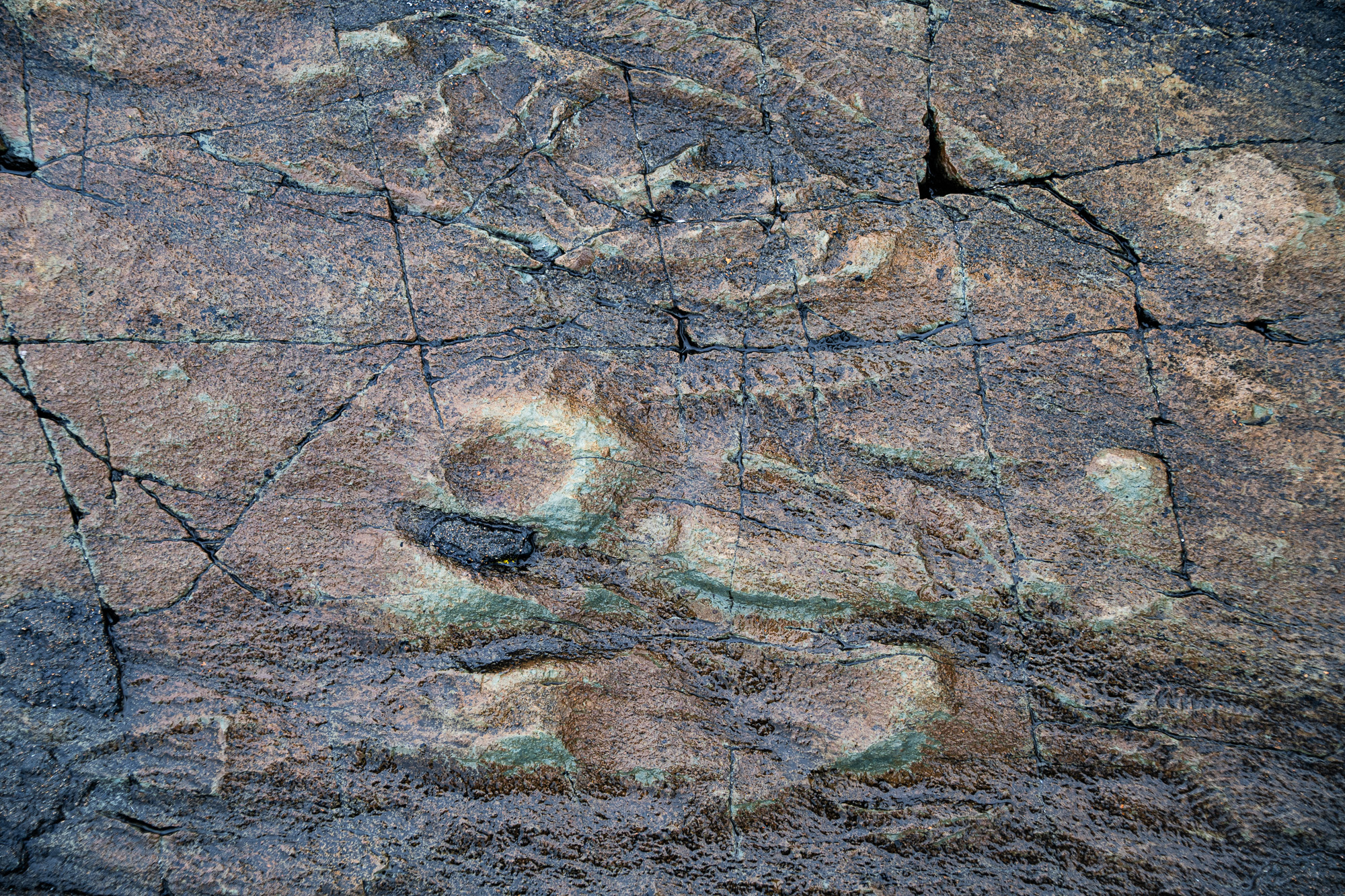 Avalon peninsula in Newfoundland