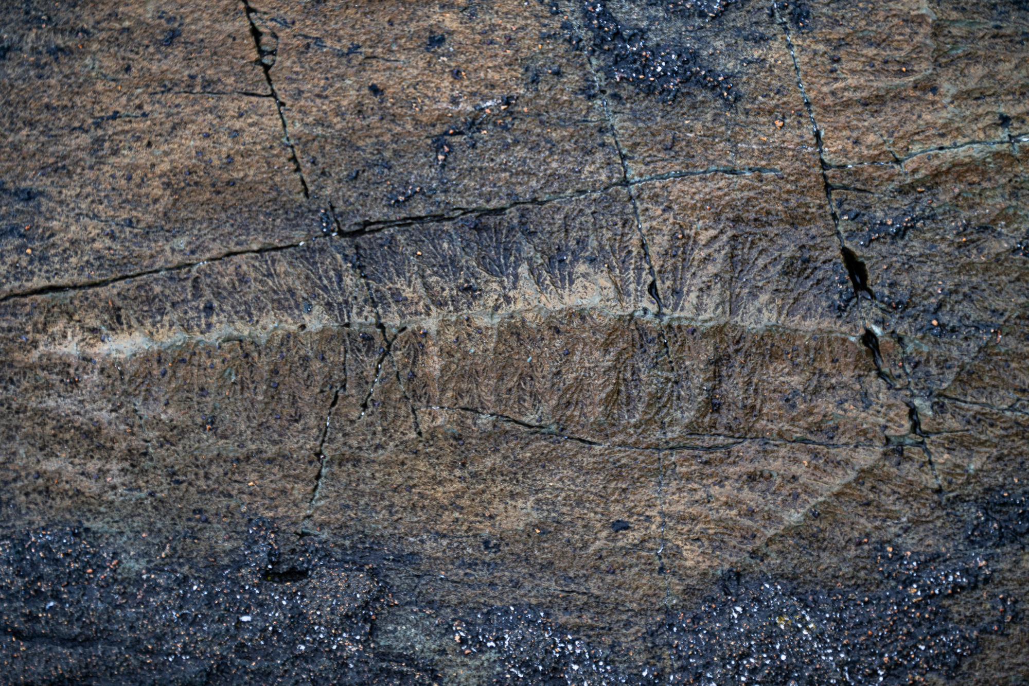 Avalon peninsula in Newfoundland