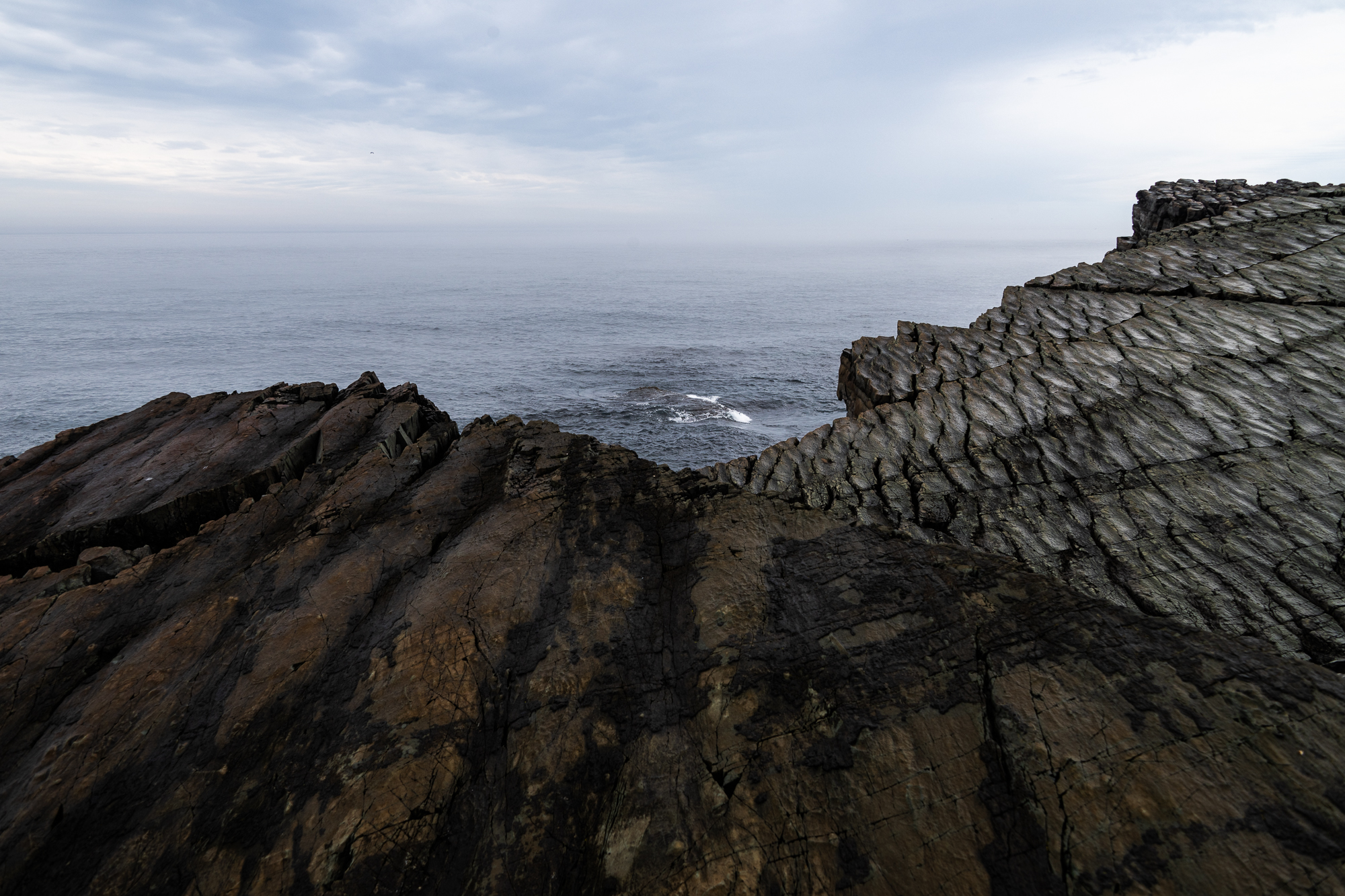 Avalon peninsula in Newfoundland