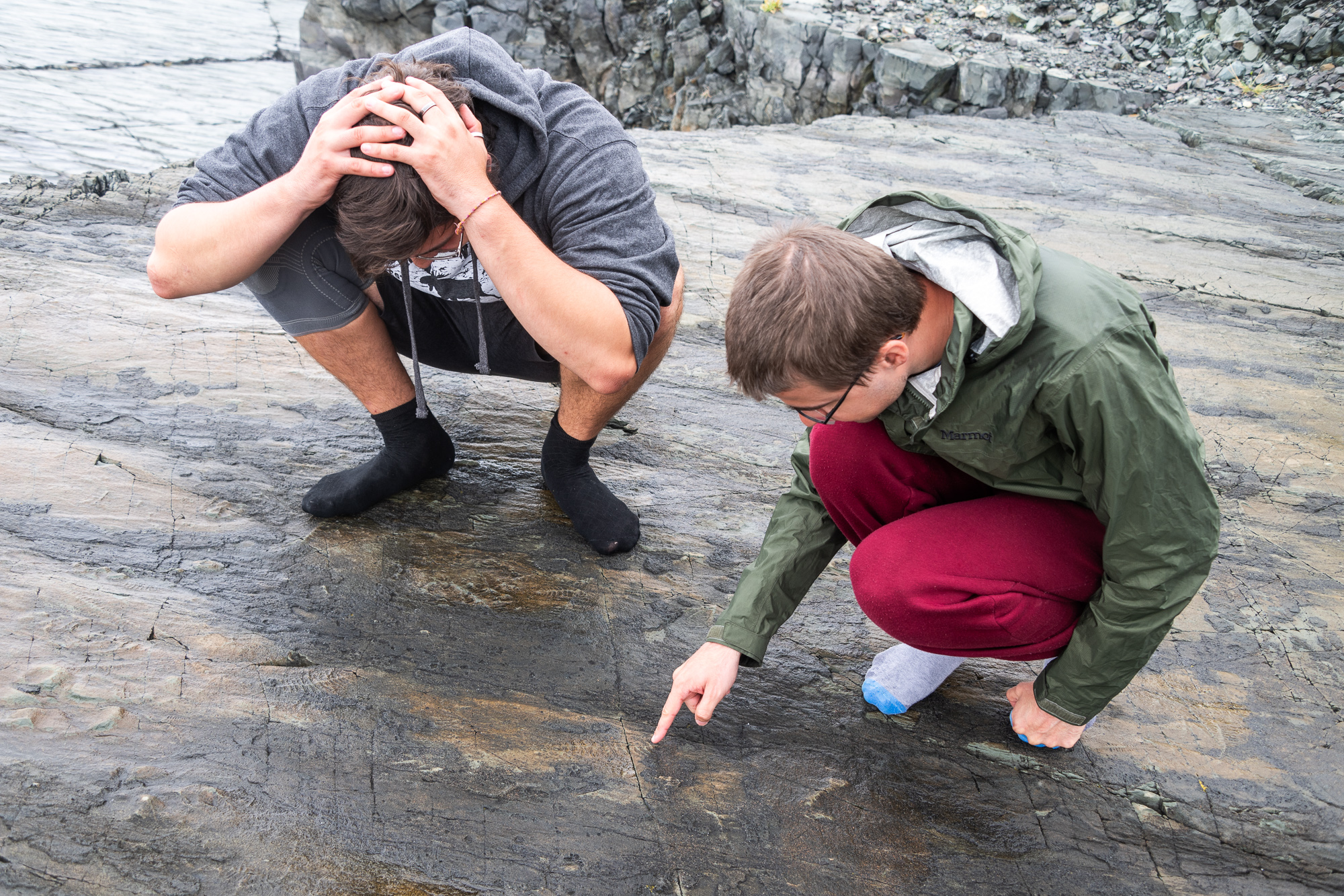 Avalon peninsula in Newfoundland