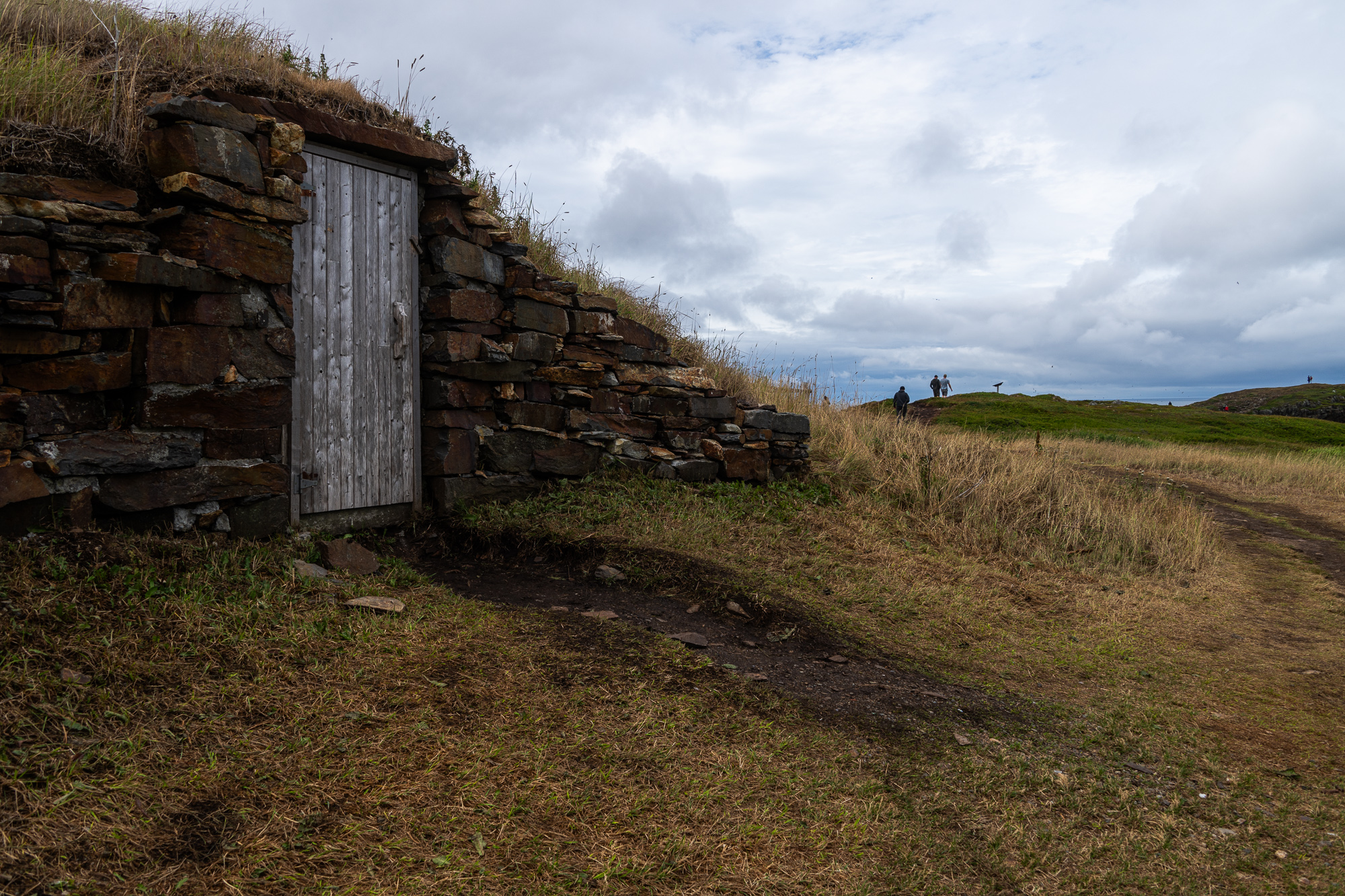 Puffin viewing area in Elliston, Newfoundland