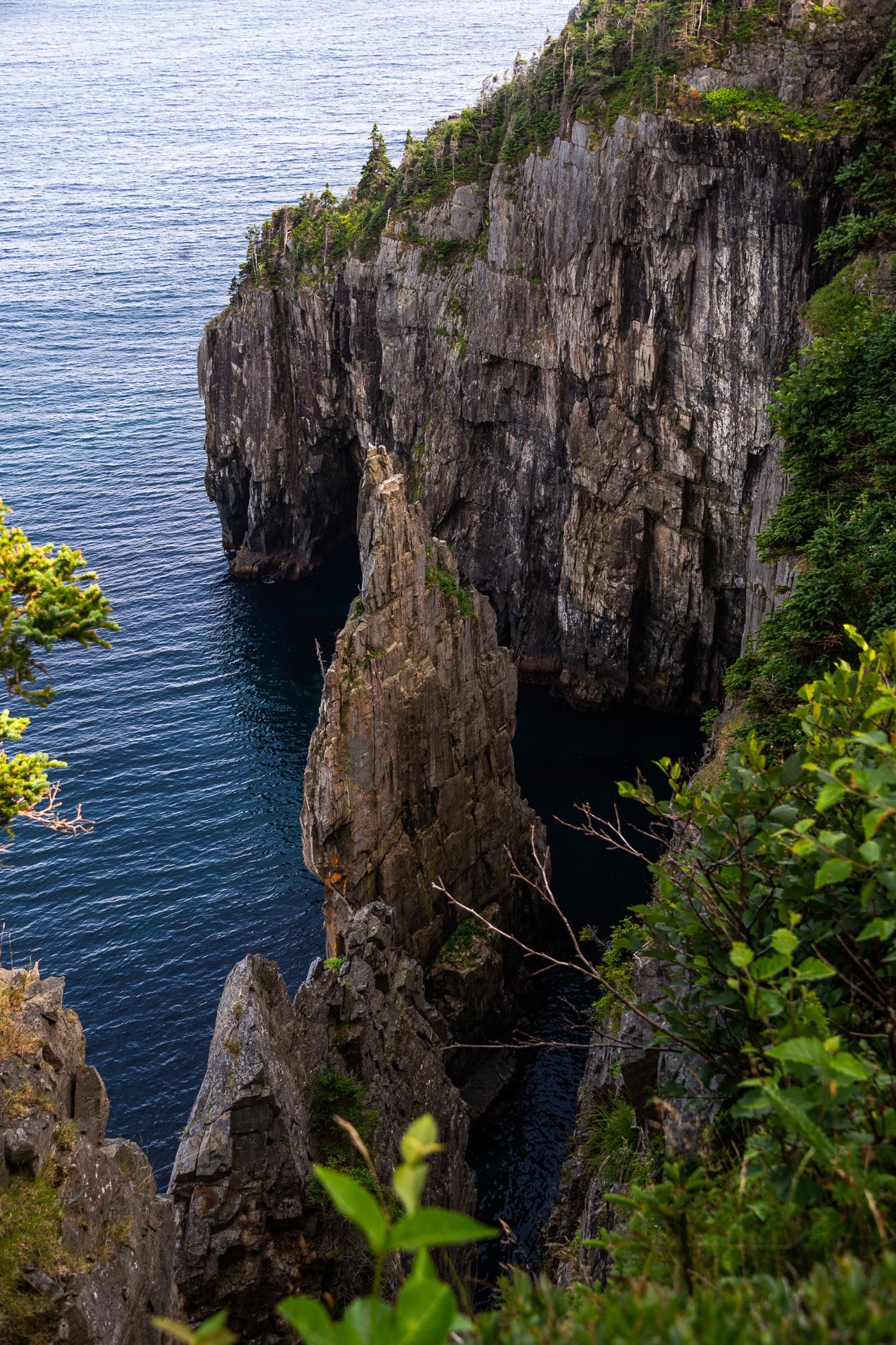 East Coast Trail in Newfoundland