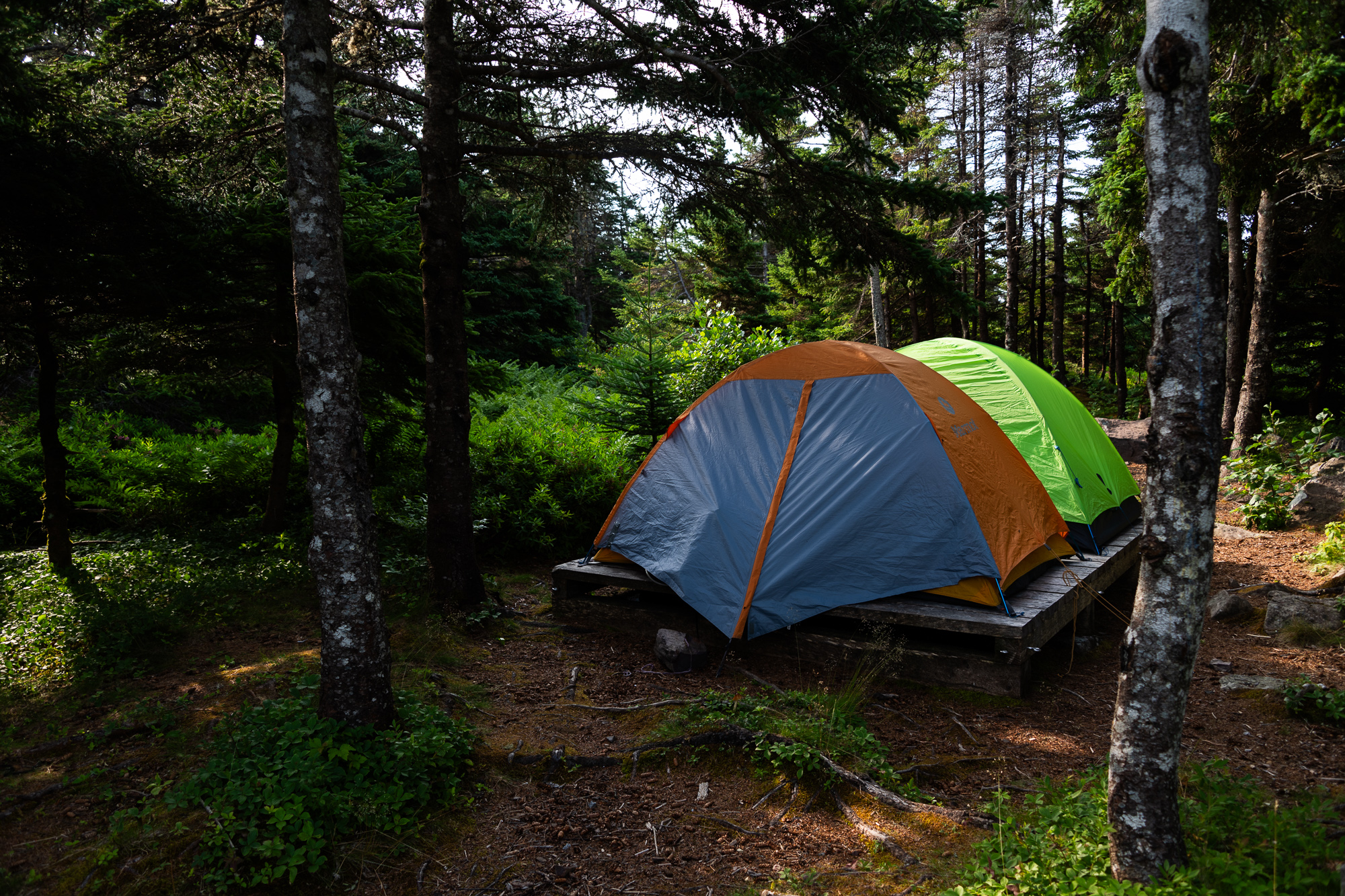 Camping on East Coast Trail in Newfoundland