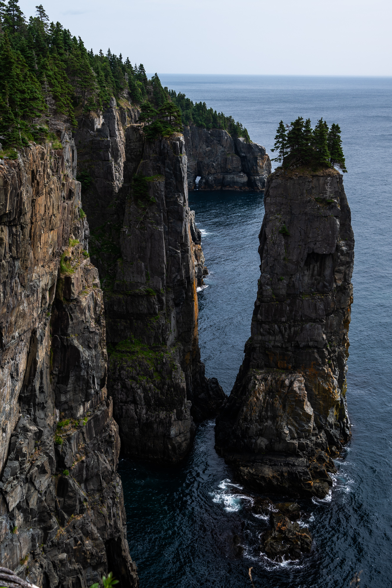 East Coast Trail in Newfoundland