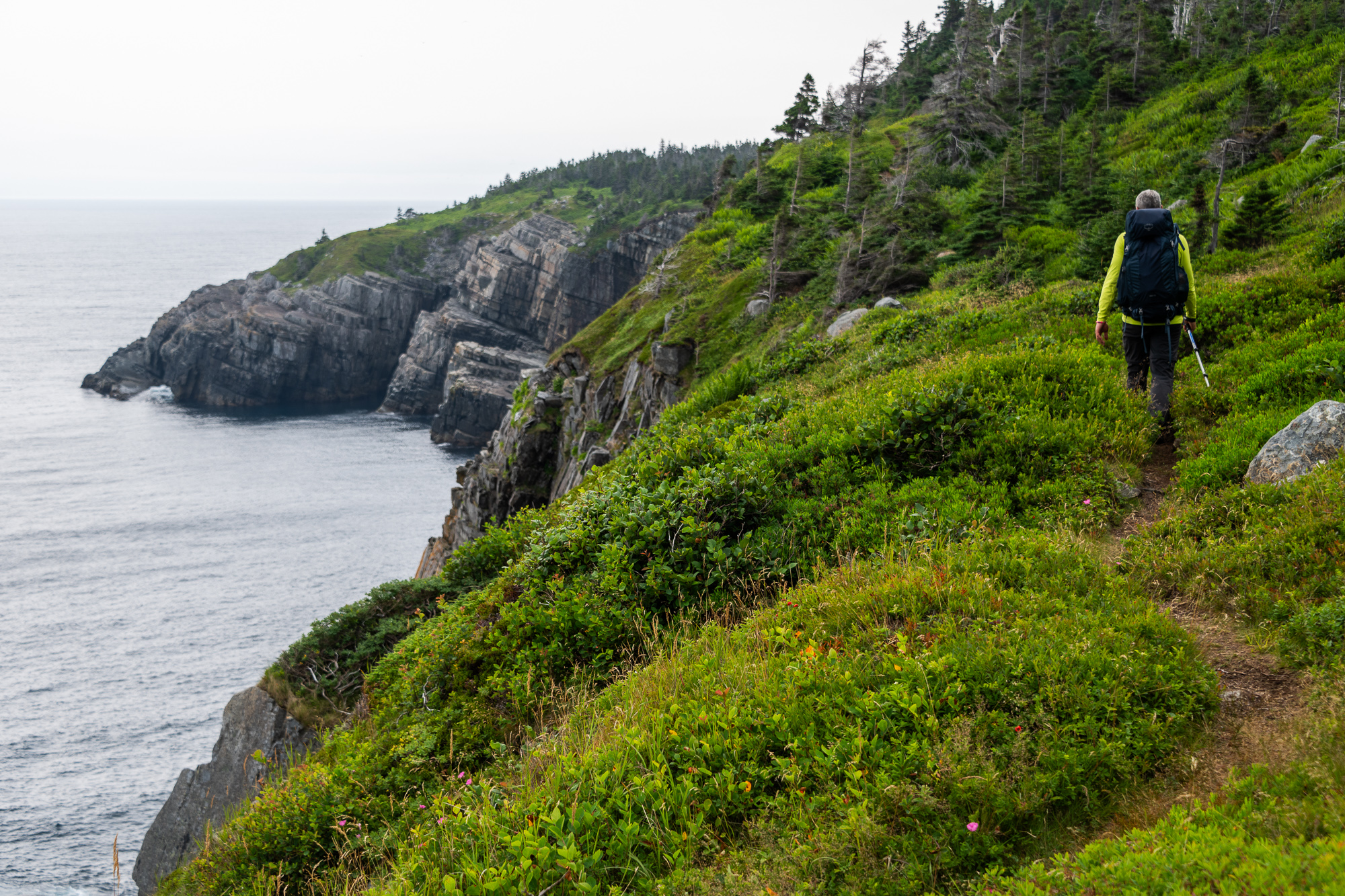 East Coast Trail in Newfoundland