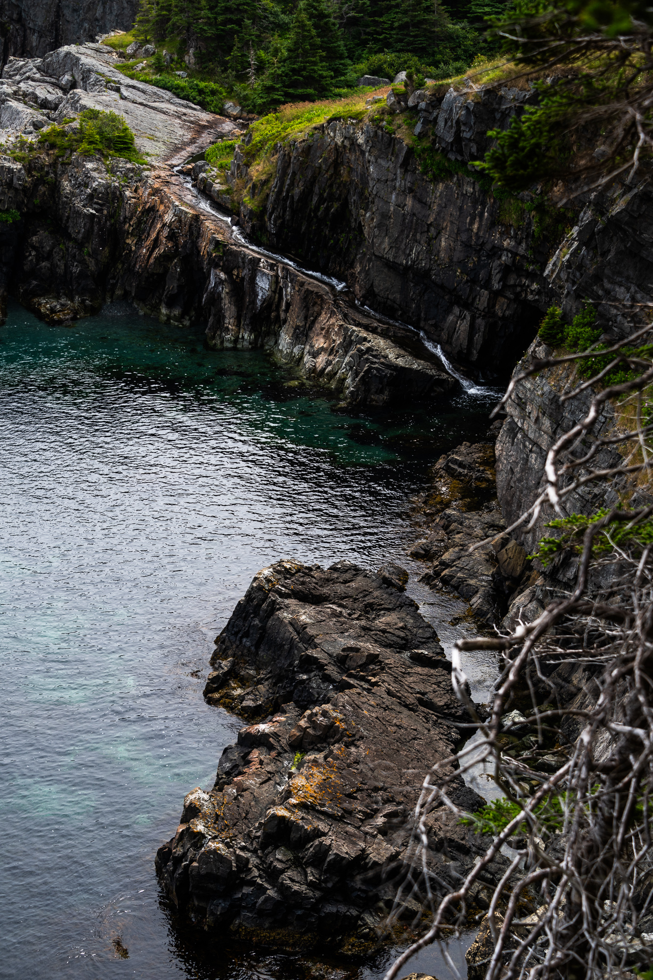 East Coast Trail in Newfoundland