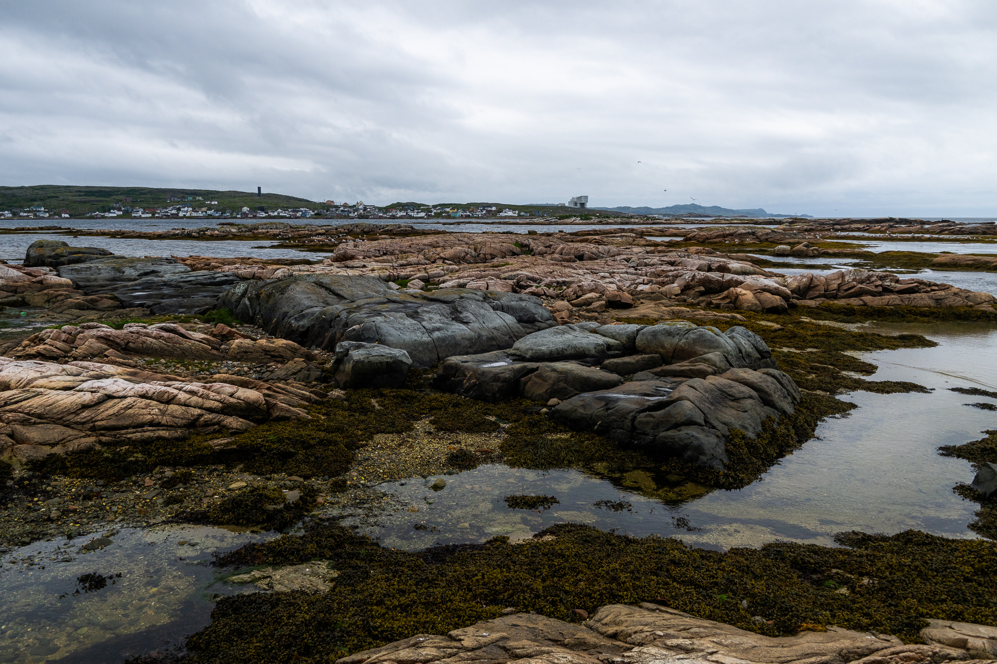 hiking on Fogo Island in Newfoundland