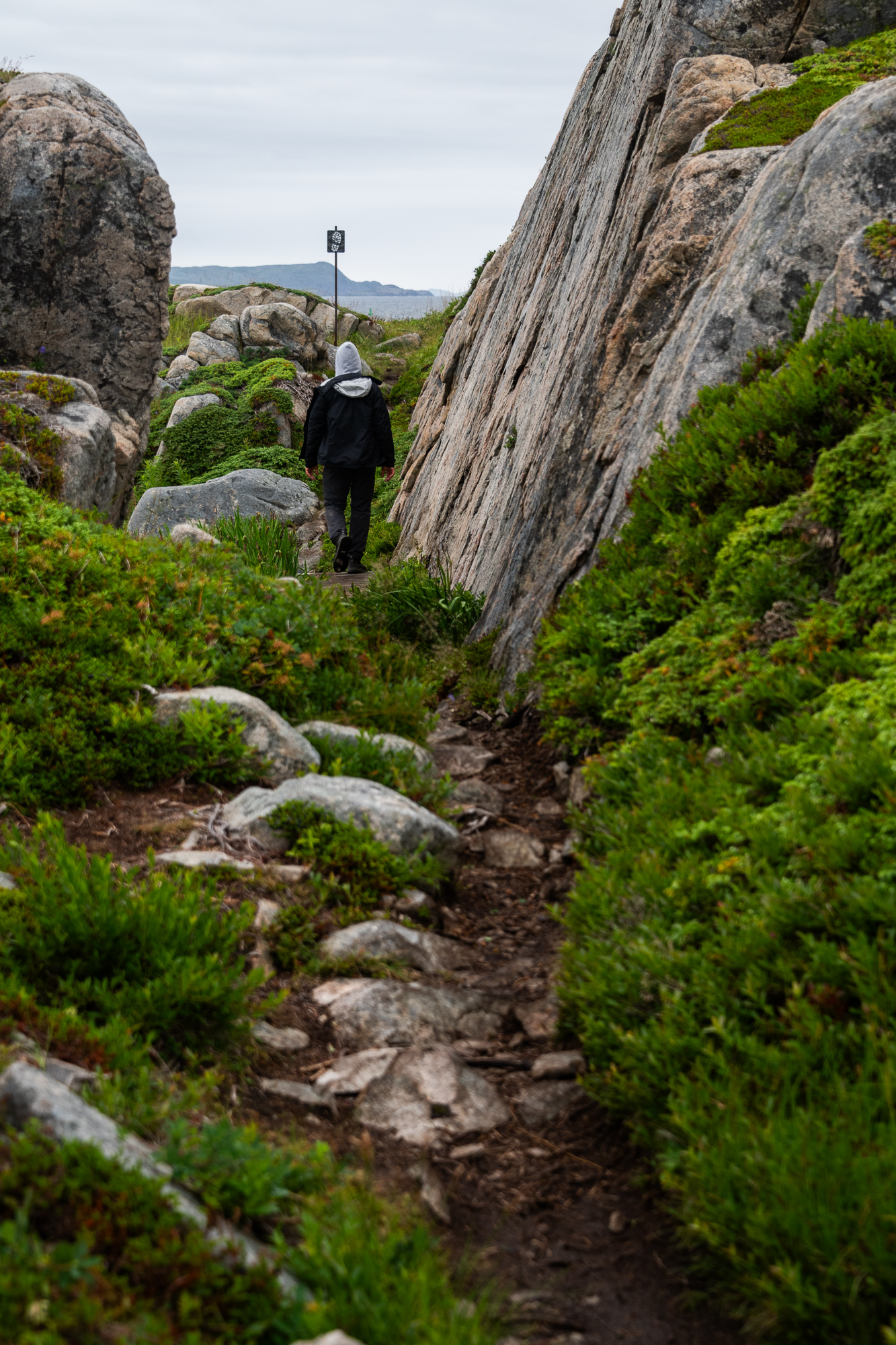Fogo Island in Newfoundland