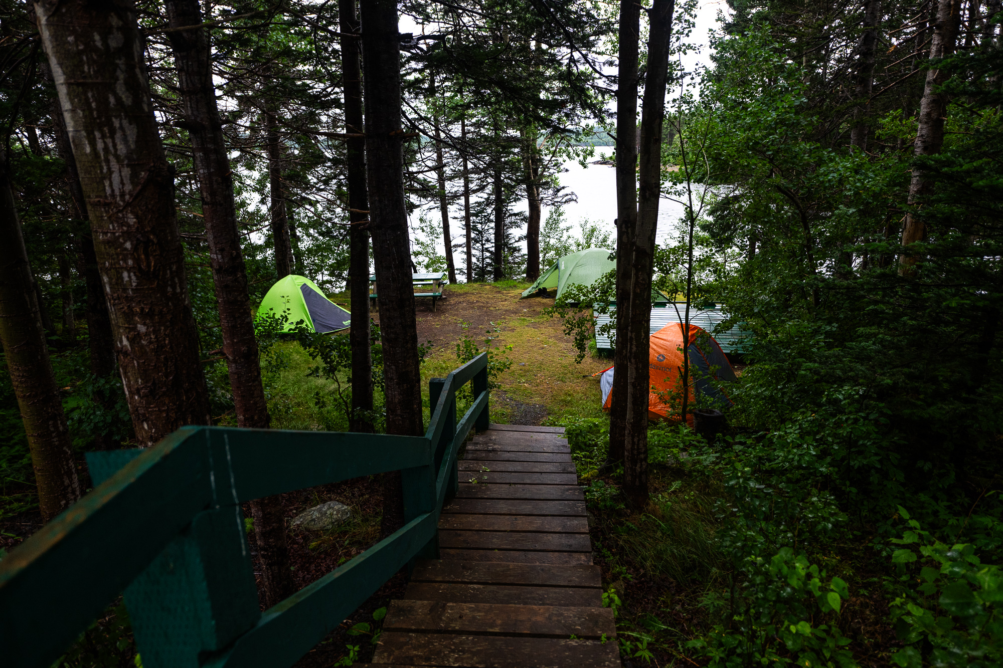 Camping in Newfoundland