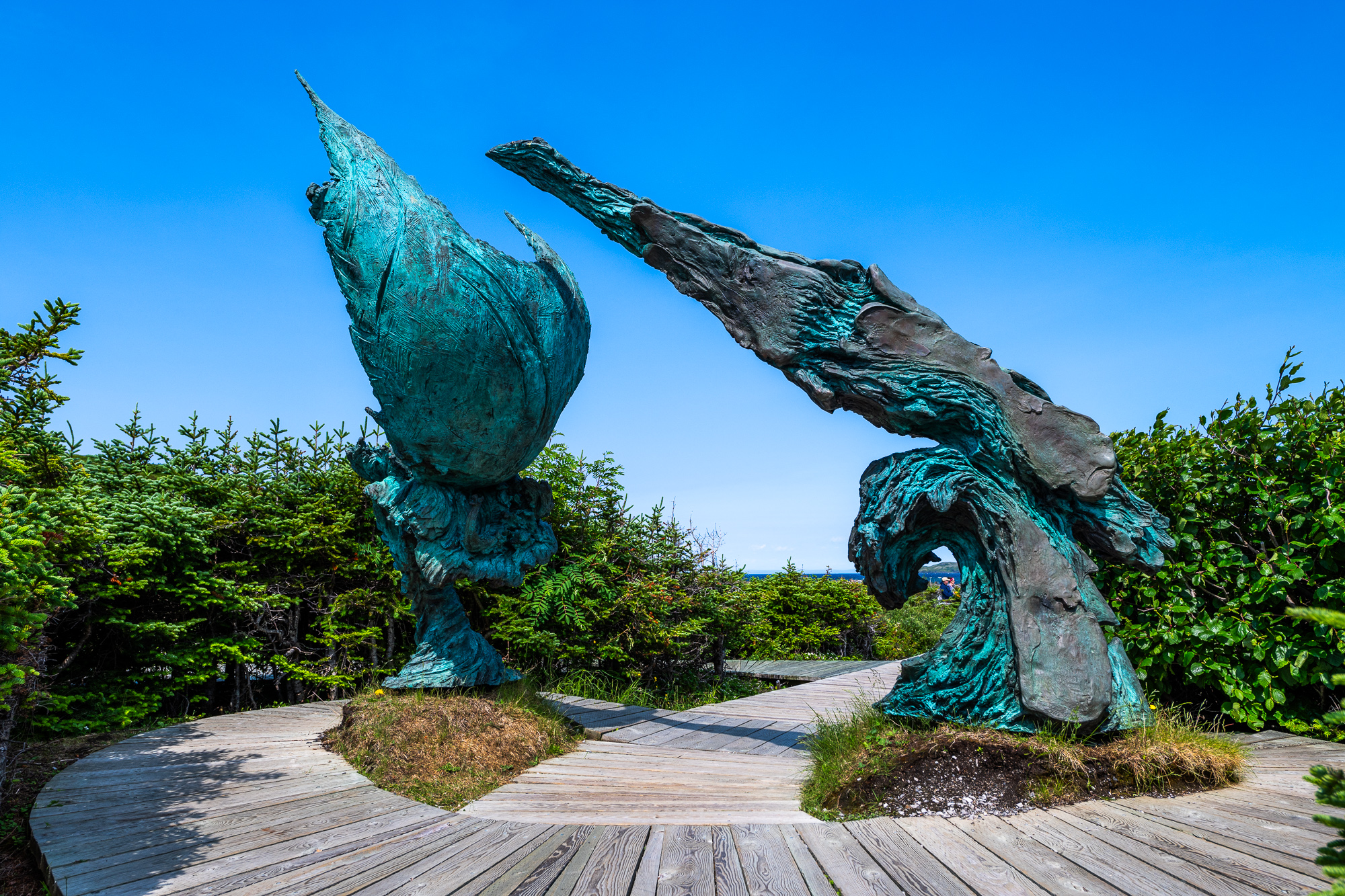 Great Northern Peninsula in Newfoundland