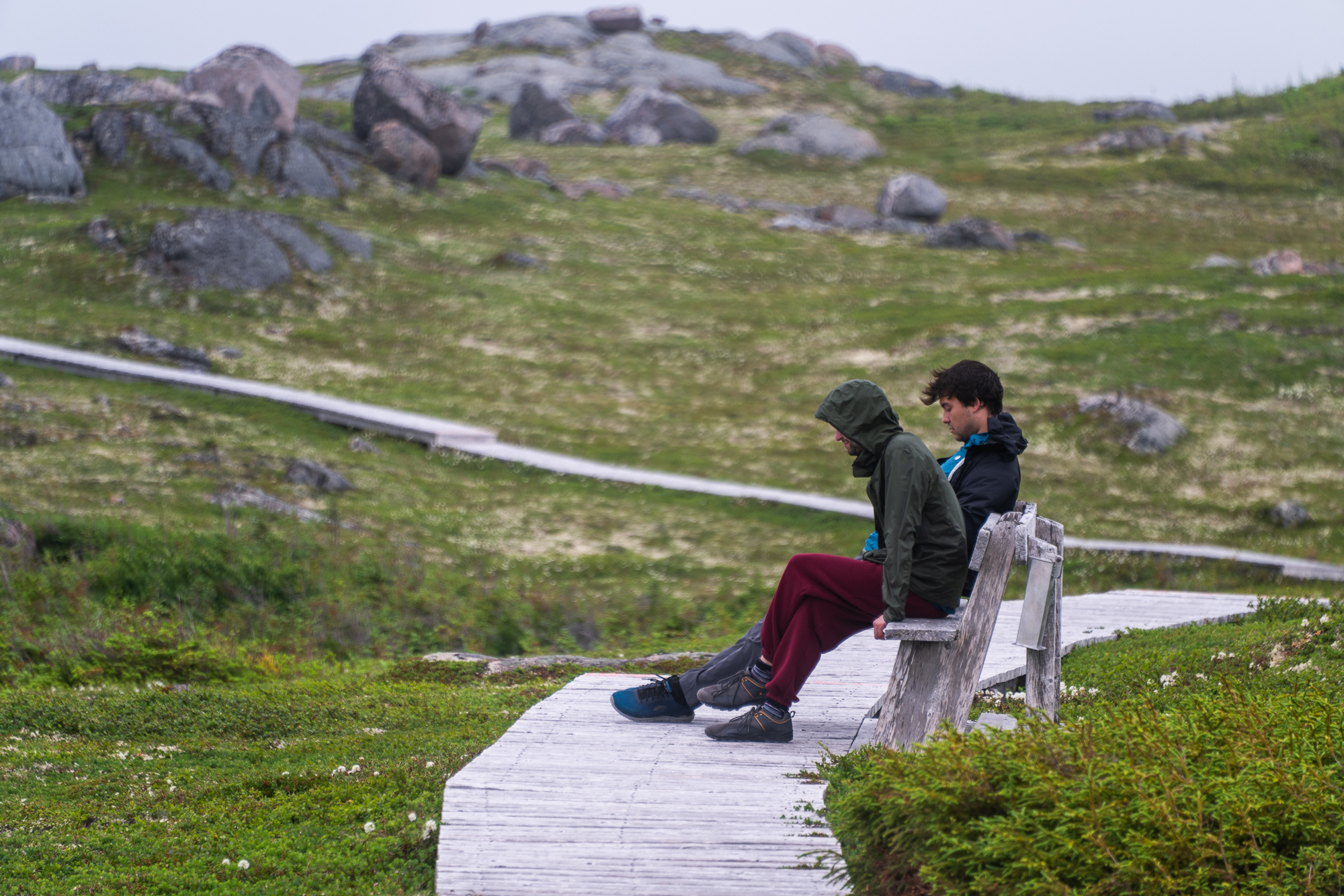 Tracey Hill trail in Labrador