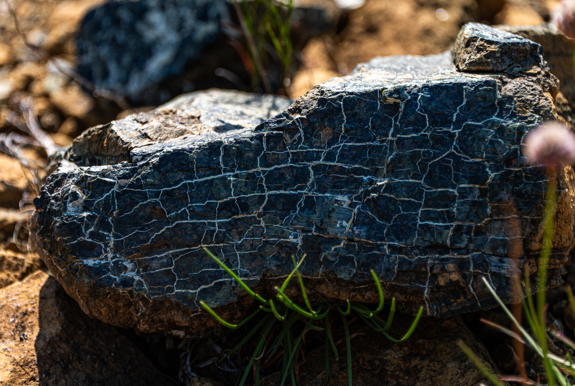 Tablelands in Gros Morne National Park in Newfoundland